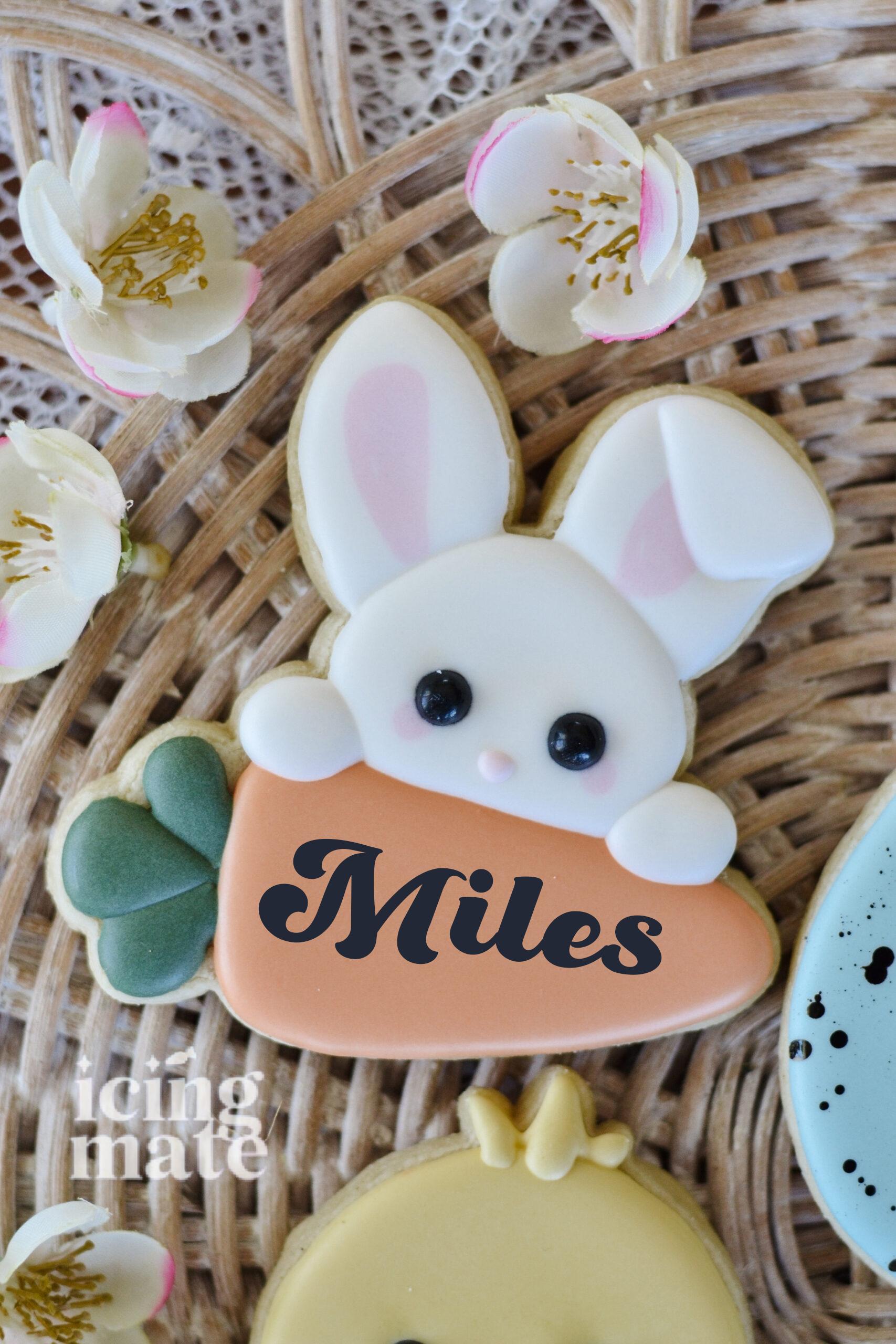Easter Bunny and Carrot Plaque